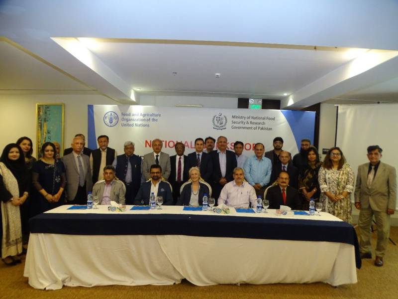 PITB participates in National Workshop for Pakistan Animal Identification & Traceability System