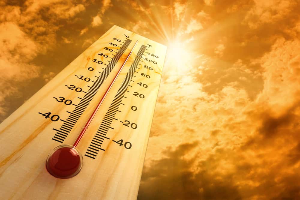 Faisalabad, Bahawalpur boil under heatwave as ‘Feels-Like’ temperature crosses 50°C